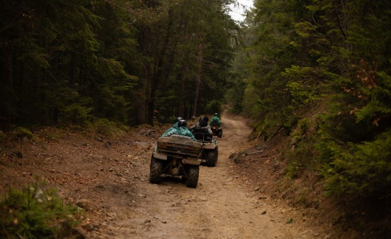 Top 5 Off-Roading Trails in the US