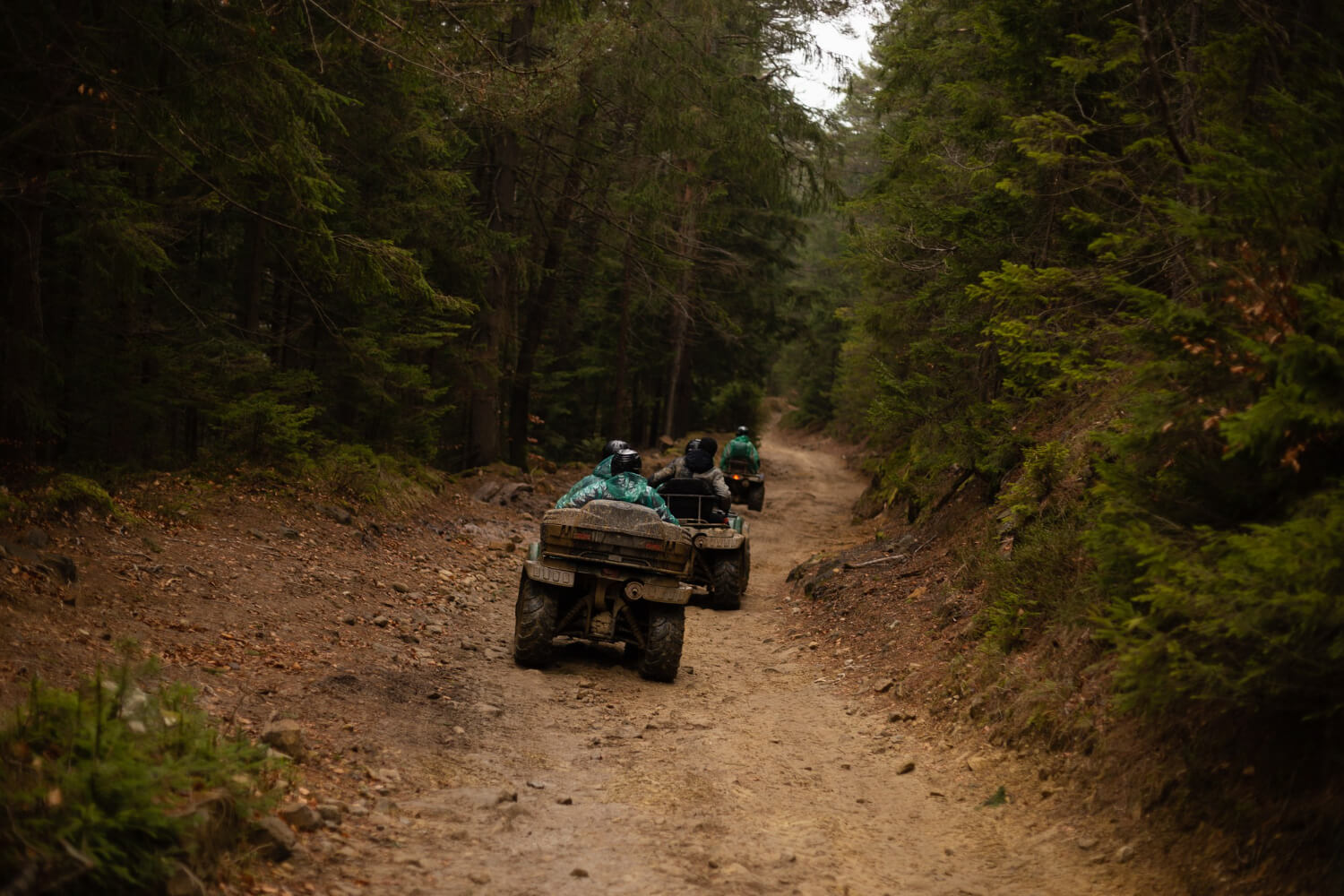 Top 5 Off-Roading Trails in the US